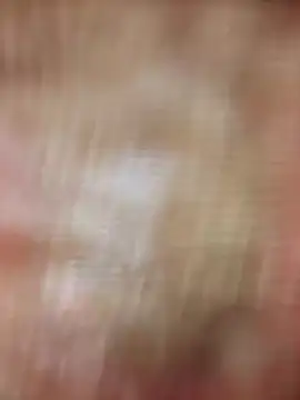 Snapshot of xmanrawan2 chatting on February 2025 08:39:02 AM xmanrawan2 online show from February 2025 08:39:02 AM