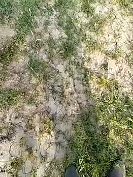 Snapshot of xmanrawan2 chatting on March 2025 11:34:02 AM xmanrawan2 online show from March 2025 11:34:02 AM