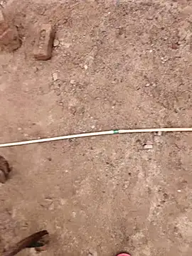 Snapshot of xmanrawan2 chatting on October 2025 07:50:02 AM xmanrawan2 online show from October 2025 07:50:02 AM