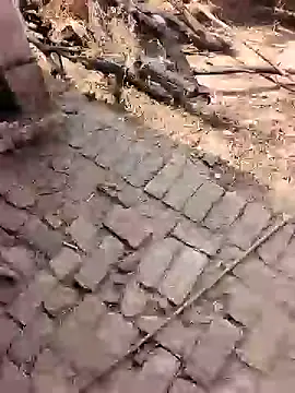 Snapshot of xmanrawan2 chatting on February 2026 07:16:02 AM xmanrawan2 online show from February 2026 07:16:02 AM