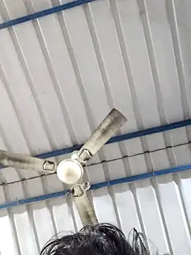 birds0641 online show from February 2025 05:52:01 AM