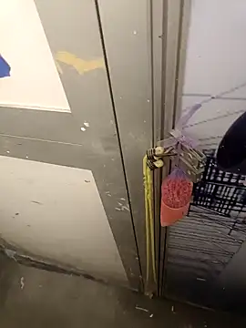 Snapshot of wadmma chatting on February 2025 07:10:01 PM wadmma online show from February 2025 07:10:01 PM