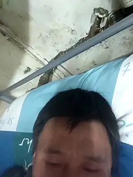 wadmma online show from March 2026 08:42:01 PM