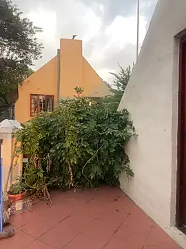 ZinaFreak online show from February 2025 04:29:01 PM