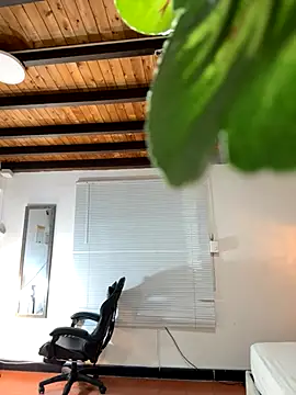 Hadley  online show from December 2025 03:14:02 AM