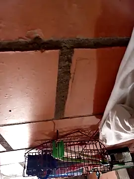 Snapshot of Jean18060 chatting on February 2026 02:59:01 PM Jean18060 online show from February 2026 02:59:01 PM