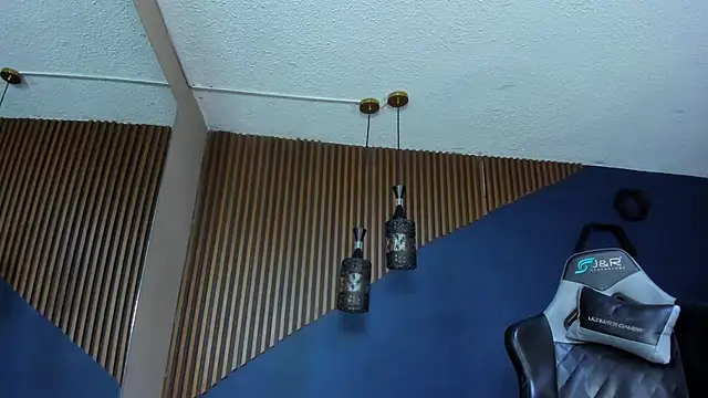 Snapshot of ErickCarmack chatting on February 2025 04:24:02 AM ErickCarmack online show from February 2025 04:24:02 AM