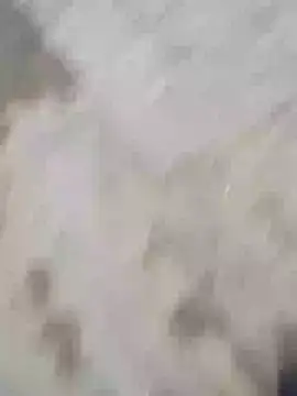 Hot funky boy online show from February 2025 12:47:01 PM