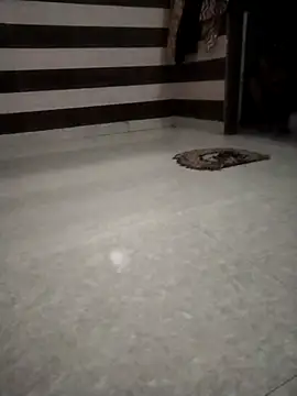 sdfuubjkn online show from April 2026 03:55:01 AM