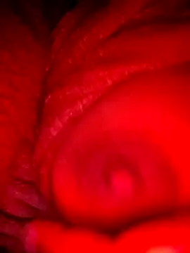 bestfriend-shikha online show from February 2025 09:18:02 PM