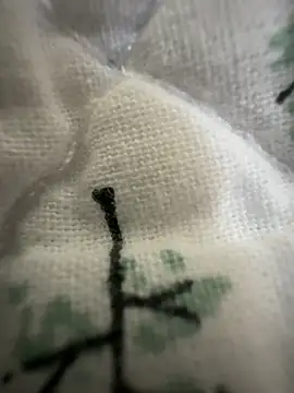 Snapshot of sissyboijamie1313 chatting on February 2026 08:54:01 PM sissyboijamie1313 online show from February 2026 08:54:01 PM