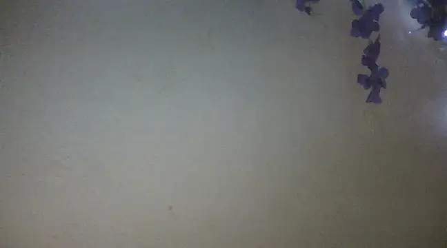 Snapshot of xxsexycutexxx chatting on February 2025 06:04:02 PM xxsexycutexxx online show from February 2025 06:04:02 PM