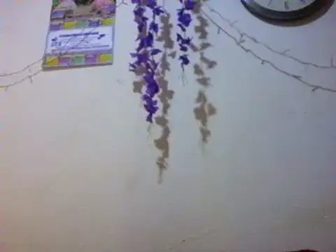 Snapshot of xxsexycutexxx chatting on March 2025 02:04:02 PM xxsexycutexxx online show from March 2025 02:04:02 PM