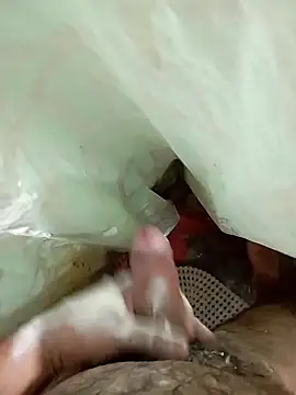 HotC1991 online show from March 2026 12:25:02 AM