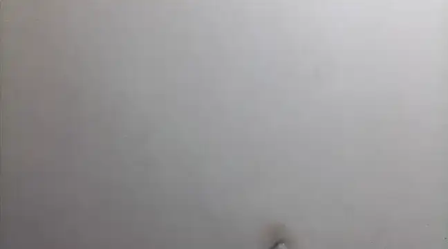 beatle666 online show from February 2025 02:15:02 AM