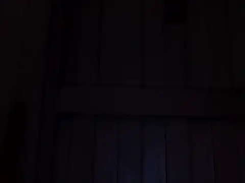 beatle666 online show from November 2025 02:11:02 AM