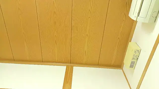 RIO o0 online show from December 2025 03:36:01 AM