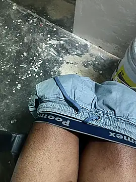 Snapshot of omni_333 chatting on February 2026 02:54:01 PM omni 333 online show from February 2026 02:54:01 PM