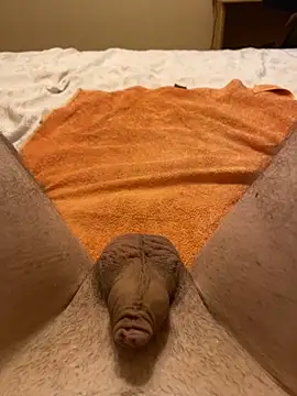 tulich online show from November 2025 01:09:02 PM