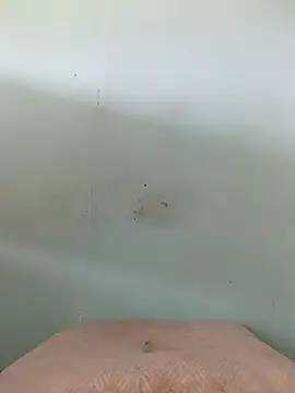 Snapshot of Dracoandr chatting on October 2025 05:08:01 PM Dracoandr online show from October 2025 05:08:01 PM