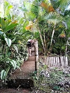 Snapshot of Dracoandr chatting on December 2025 09:09:02 PM Dracoandr online show from December 2025 09:09:02 PM