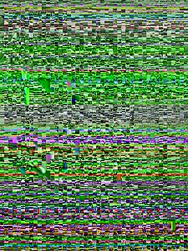 Snapshot of Walker_Thomas1 chatting on July 2026 10:34:01 PM Walker Thomas1 online show from July 2026 10:34:01 PM