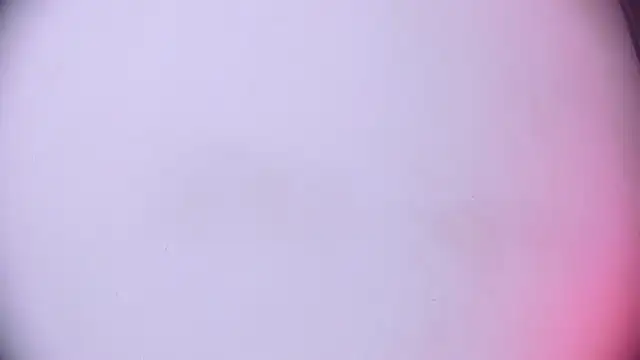 Ashlyaurora online show from March 2025 08:25:02 AM