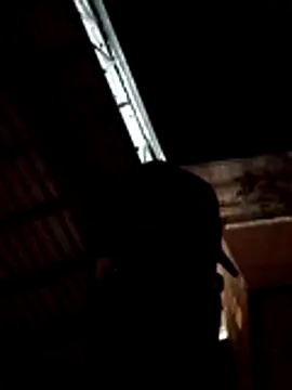 1Dseralmora2 online show from October 2025 09:11:04 AM