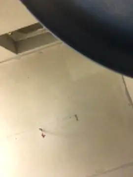 cumcum94 online show from February 2026 07:53:02 PM