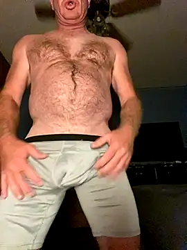 hintly online show from September 2025 11:13:02 AM