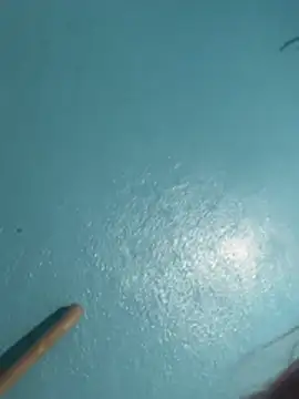 sharonlopez9611 online show from February 2026 02:53:02 AM