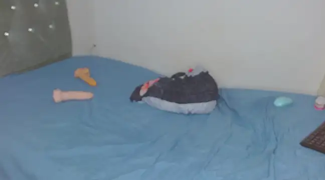 Said hot01 online show from February 2025 04:27:02 AM