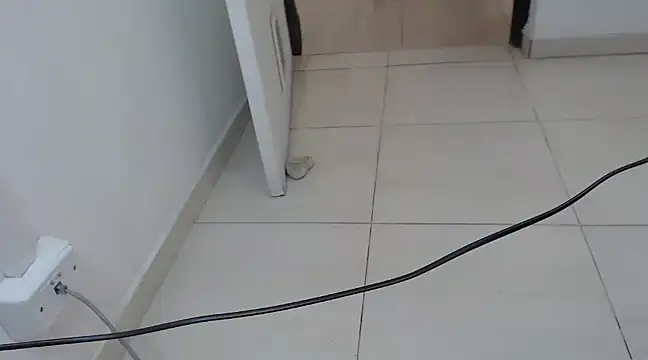 StormyWets Bluk online show from March 2025 07:36:01 PM