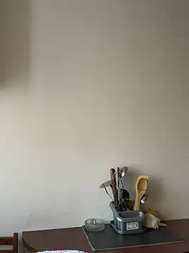 Snapshot of PlayfulShow chatting on February 2025 03:16:01 PM PlayfulShow online show from February 2025 03:16:01 PM