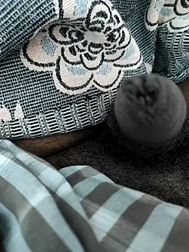 Tamil small cock online show from February 2025 10:04:01 AM