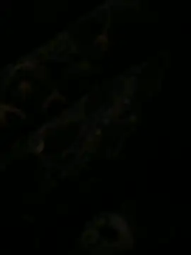 Snapshot of leonard__123 chatting on February 2025 10:10:02 PM leonard 123 online show from February 2025 10:10:02 PM