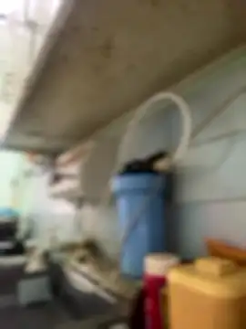 Snapshot of Carola-Ross chatting on January 2026 04:32:02 PM Carola-Ross online show from January 2026 04:32:02 PM