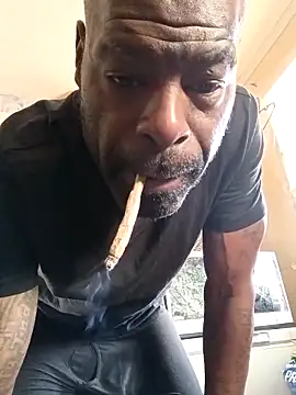 birdg online show from February 2026 02:04:02 PM