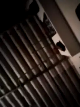 Luiyi1997 online show from February 2025 02:37:01 AM