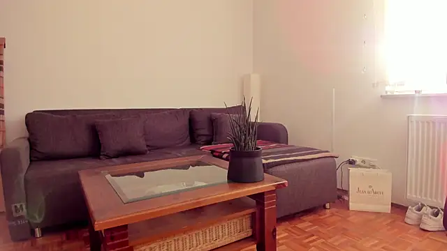 Snapshot of molicaremolicare chatting on November 2025 07:31:02 AM molicaremolicare online show from November 2025 07:31:02 AM