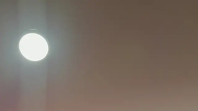 alice lodge online show from March 2025 03:09:02 AM