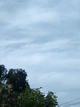 erinadarling79 online show from October 2025 09:38:01 PM