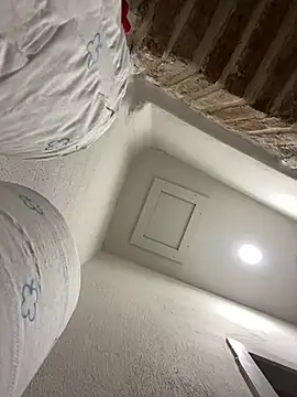 Snapshot of morfeoX chatting on March 2025 06:38:02 AM morfeoX online show from March 2025 06:38:02 AM