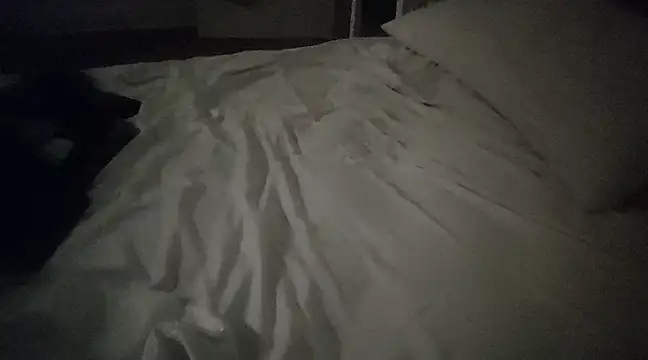 Snapshot of MystiqueRider chatting on March 2025 11:50:01 AM MystiqueRider online show from March 2025 11:50:01 AM