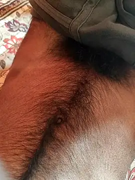 cocktony online show from February 2025 05:20:01 AM