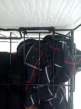 emily envivo010 online show from March 2025 08:01:02 PM