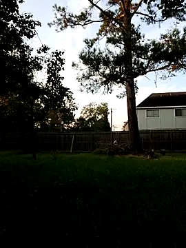 HTXBELLE online show from September 2025 11:59:01 PM