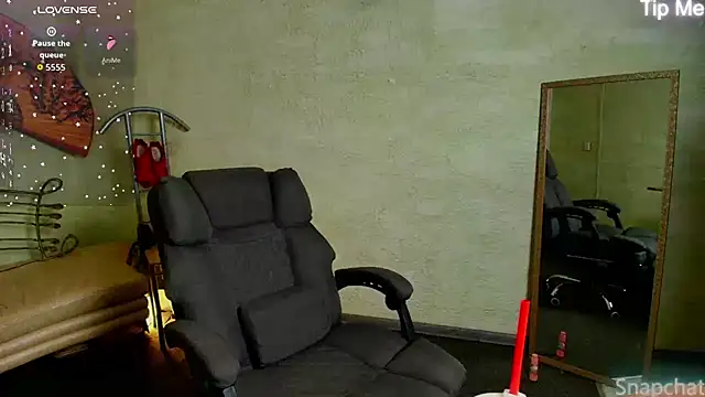 Snapshot of faiirylight chatting on July 2026 06:29:01 AM faiirylight online show from July 2026 06:29:01 AM