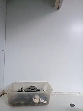 xxTatiannaxx online show from February 2025 12:09:02 PM