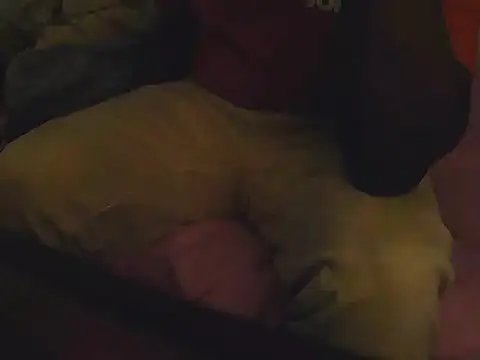 Fuckmehardandcloudy online show from March 2026 08:45:02 PM